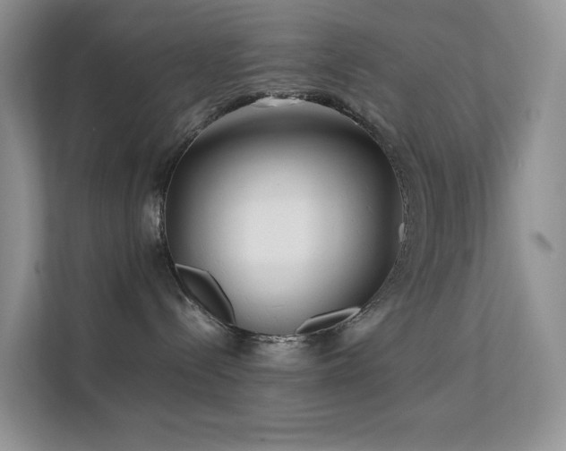 X0000112170288200908071205