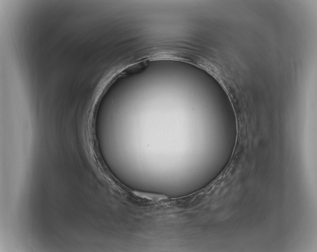 X0000112170289200908071204