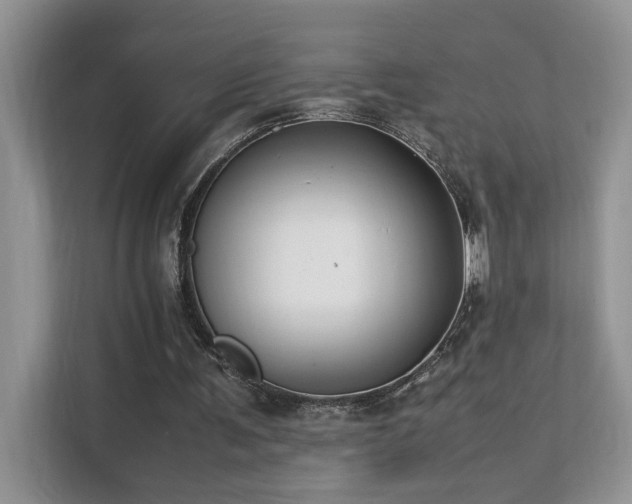 X0000112170291200908071204