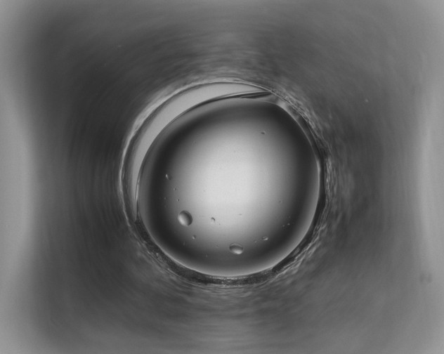 X0000112170292200908071204