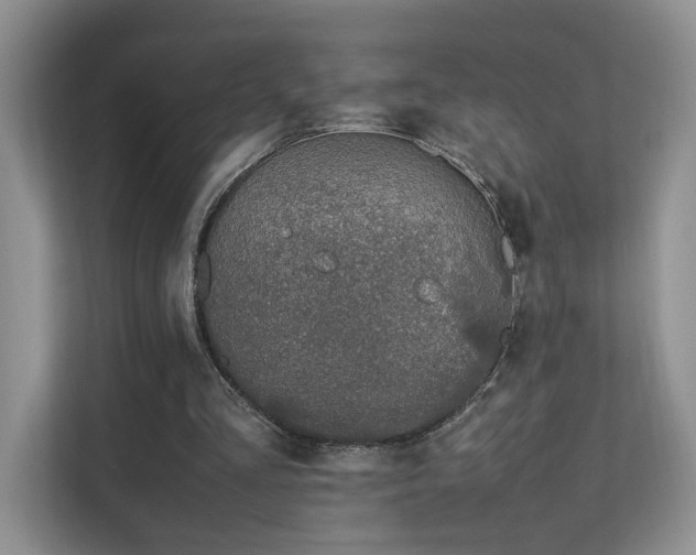 X0000112170293200908071204