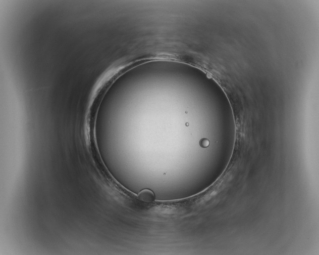 X0000112170294200908071204