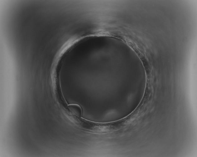 X0000112170295200908071204