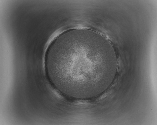 X0000112170296200908071204