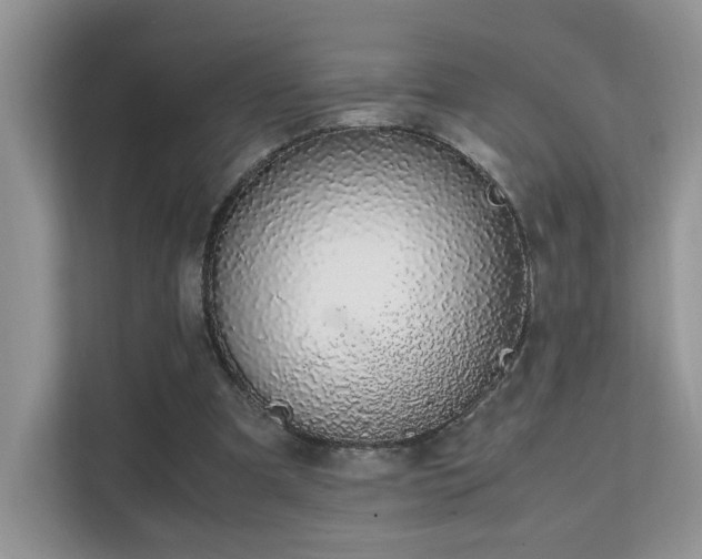 X0000112170297200908071204