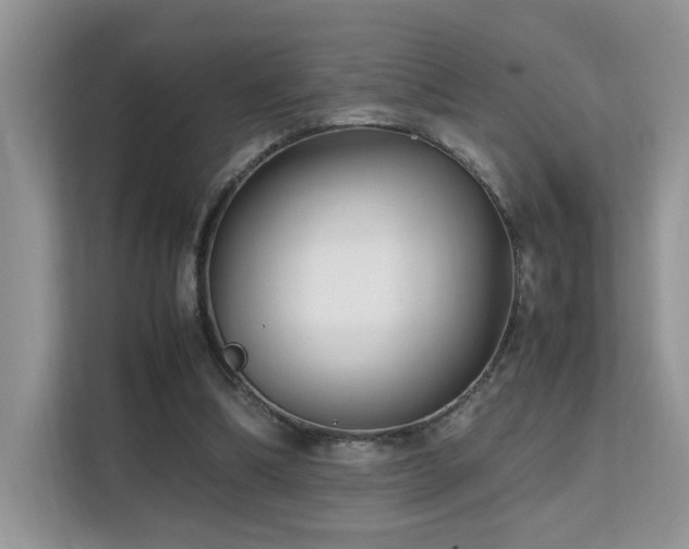 X0000112170298200908071204