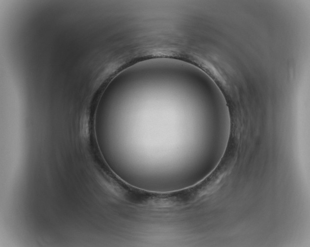 X0000112170299200908071204