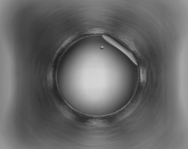 X0000112170300200908071204