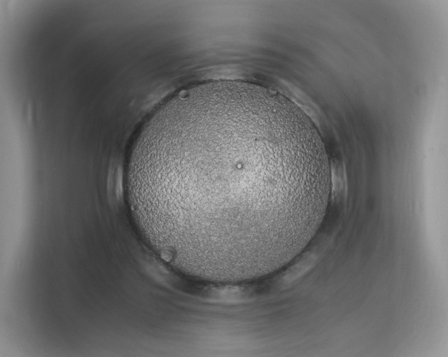 X0000112170301200908071204