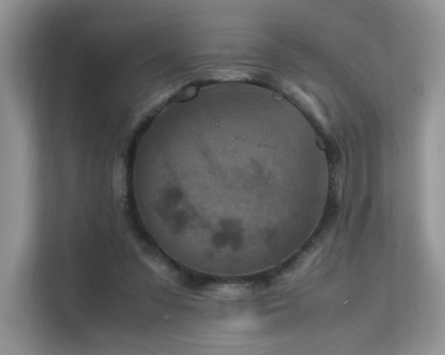 X0000112170303200908071204