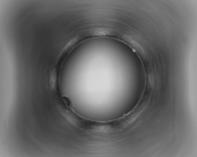 X0000112170304200908071204