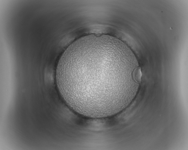 X0000112170305200908071204