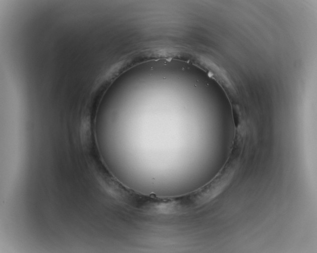 X0000112170306200908071204