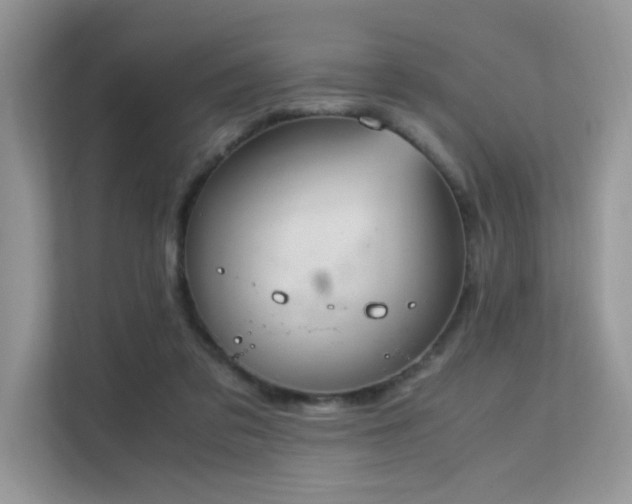 X0000112170309200908071204