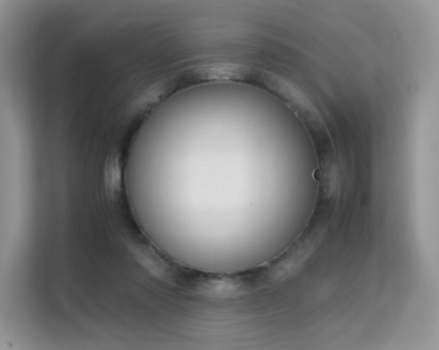 X0000112170310200908071204