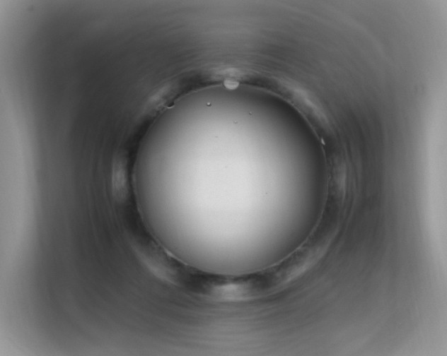 X0000112170312200908071204