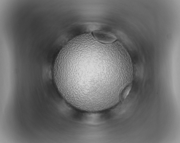 X0000112170313200908071204