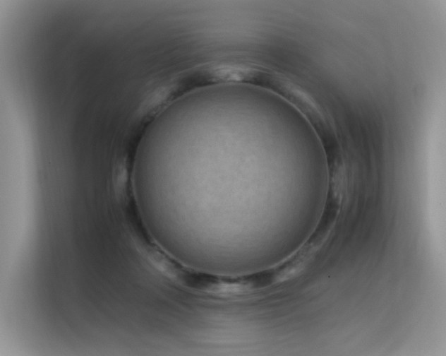 X0000112170314200908071204