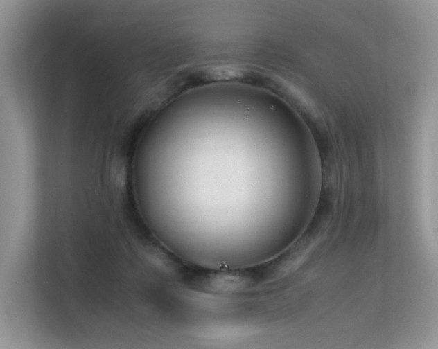 X0000112170315200908071204