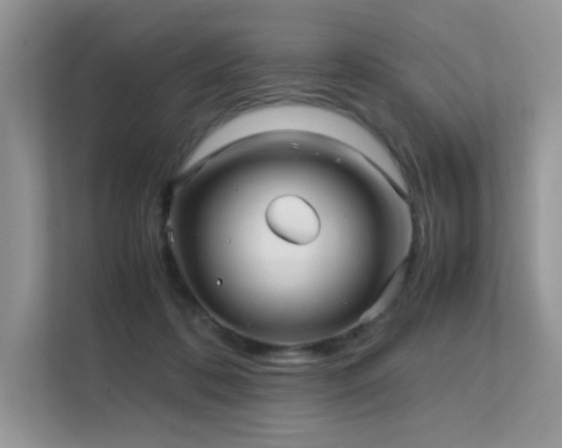 X0000112170316200908071204