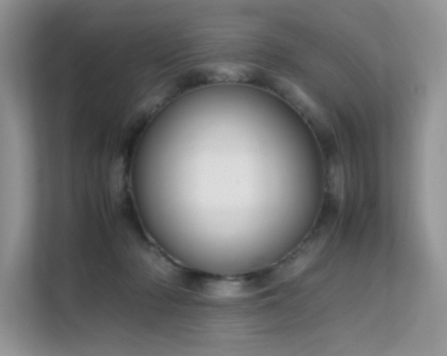 X0000112170318200908071204