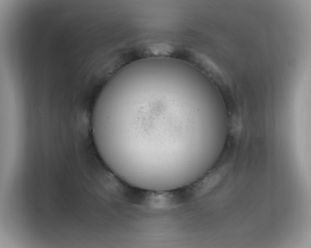 X0000112170321200908071204