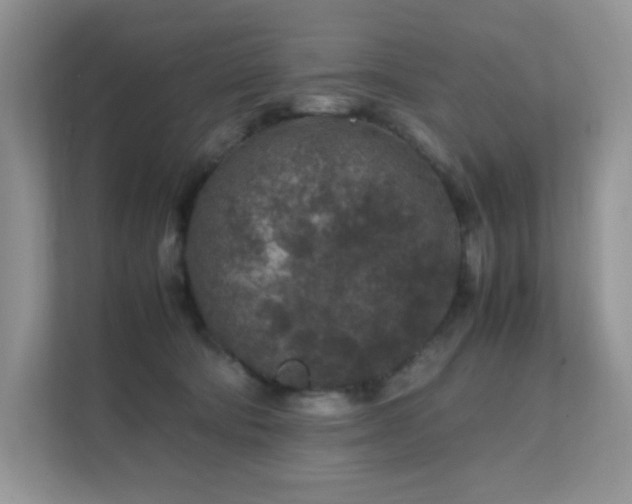 X0000112170322200908071204