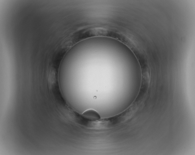 X0000112170323200908071203