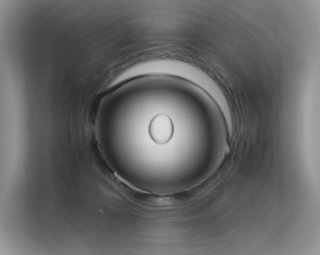 X0000112170324200908071203