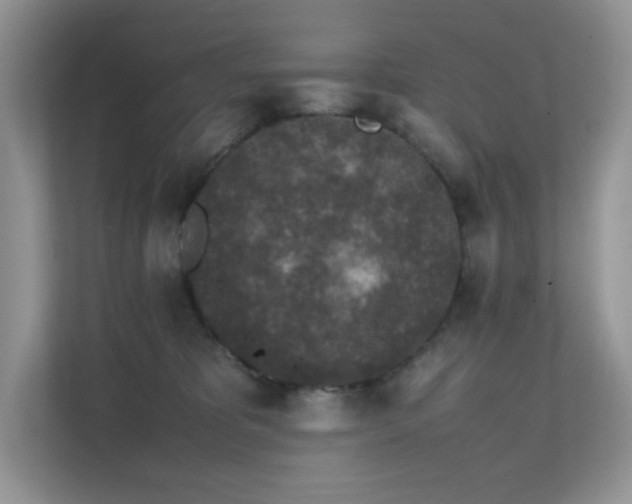 X0000112170325200908071203