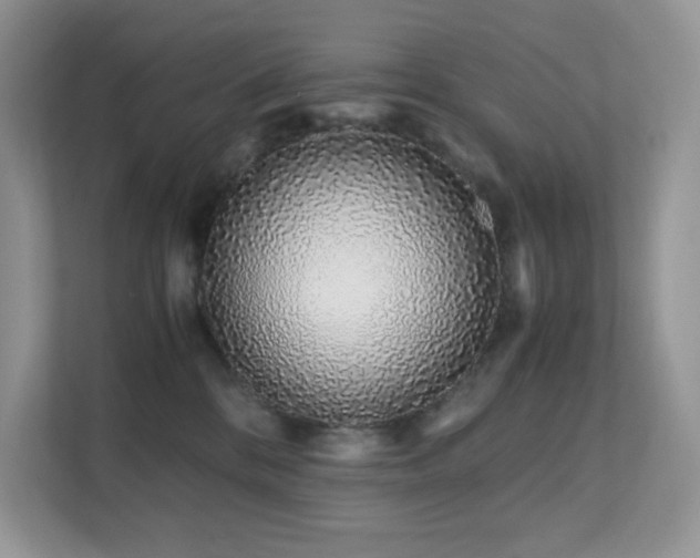 X0000112170328200908071203