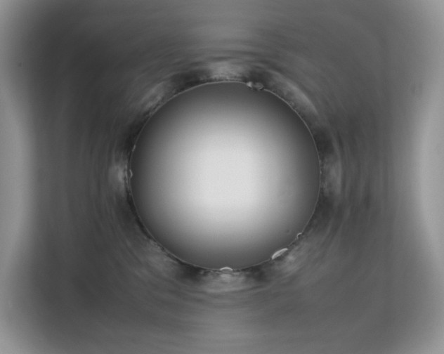 X0000112170329200908071203