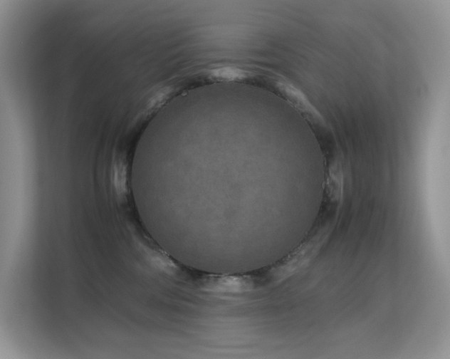 X0000112170330200908071203