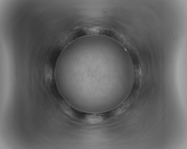 X0000112170331200908071203