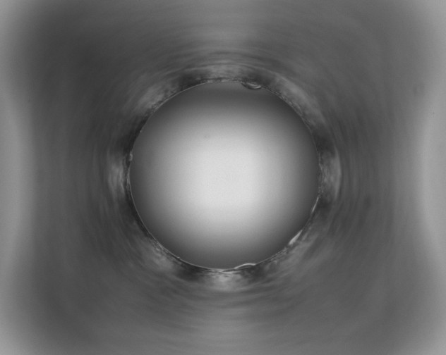 X0000112170333200908071203