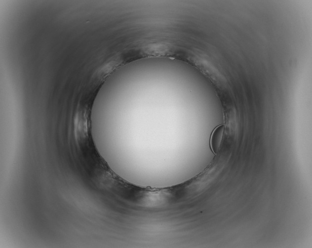 X0000112170334200908071203