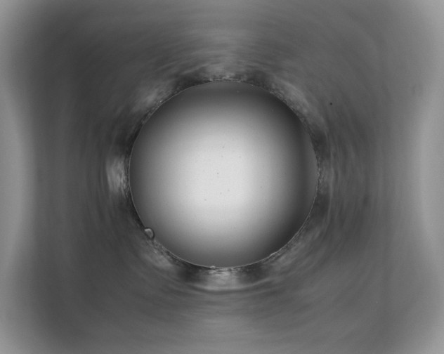 X0000112170335200908071203