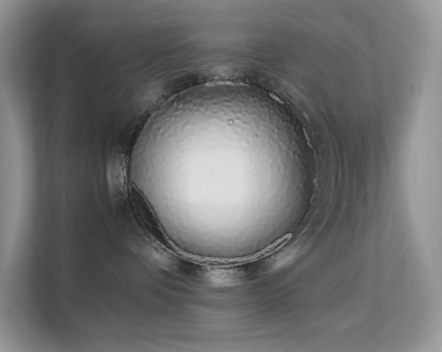 X0000112170336200908071203