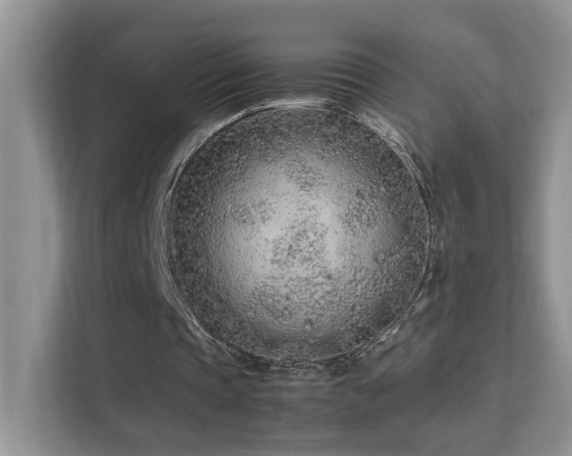 X0000112170337200908071203