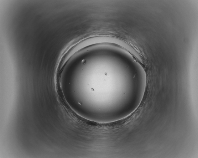 X0000112170340200908071203