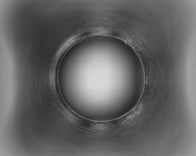 X0000112170341200908071203