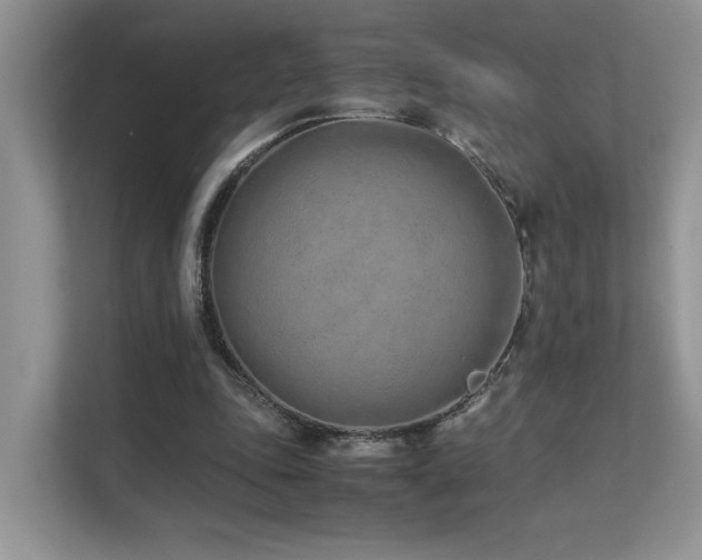 X0000112170343200908071203