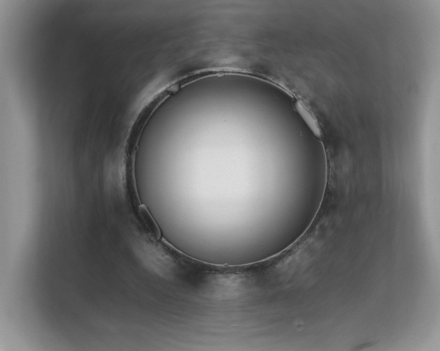 X0000112170344200908071203