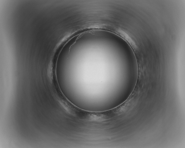 X0000112170346200908071203