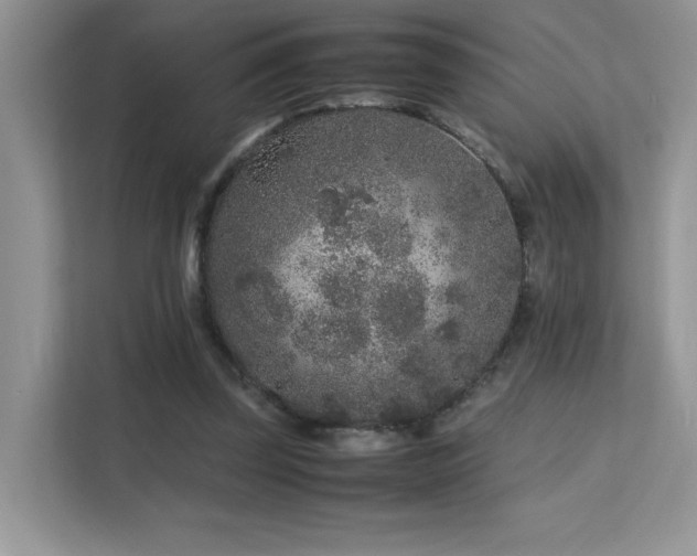 X0000112170347200908071203