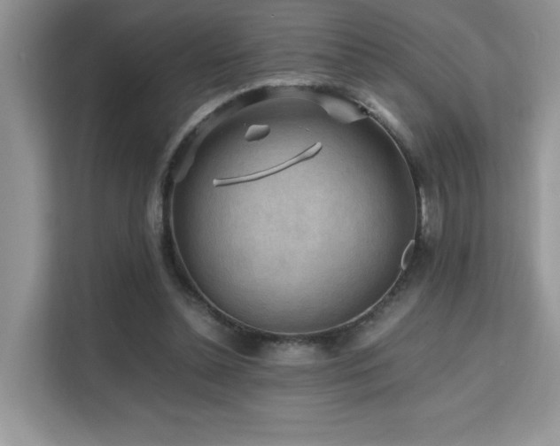 X0000112170348200908071203