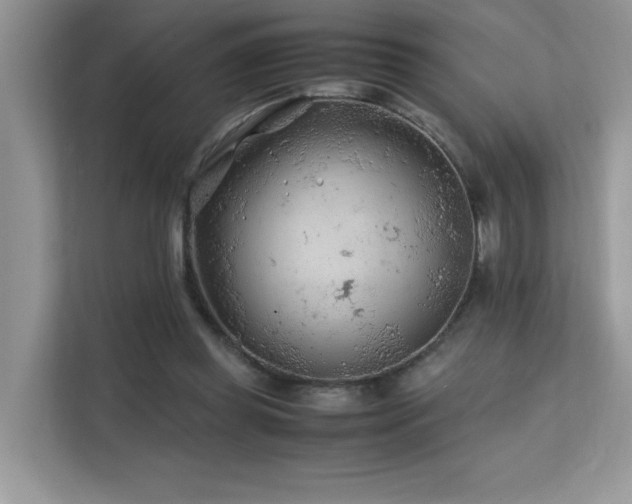 X0000112170349200908071203