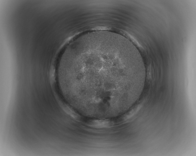 X0000112170351200908071203