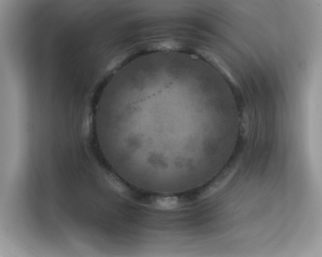 X0000112170355200908071203