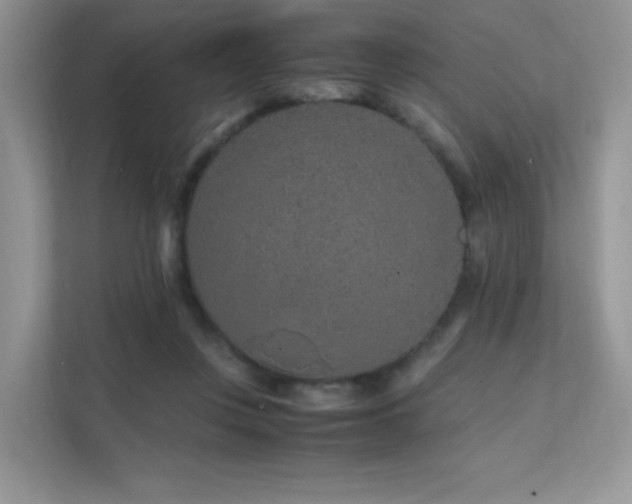 X0000112170359200908071203